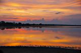 Yala National Park